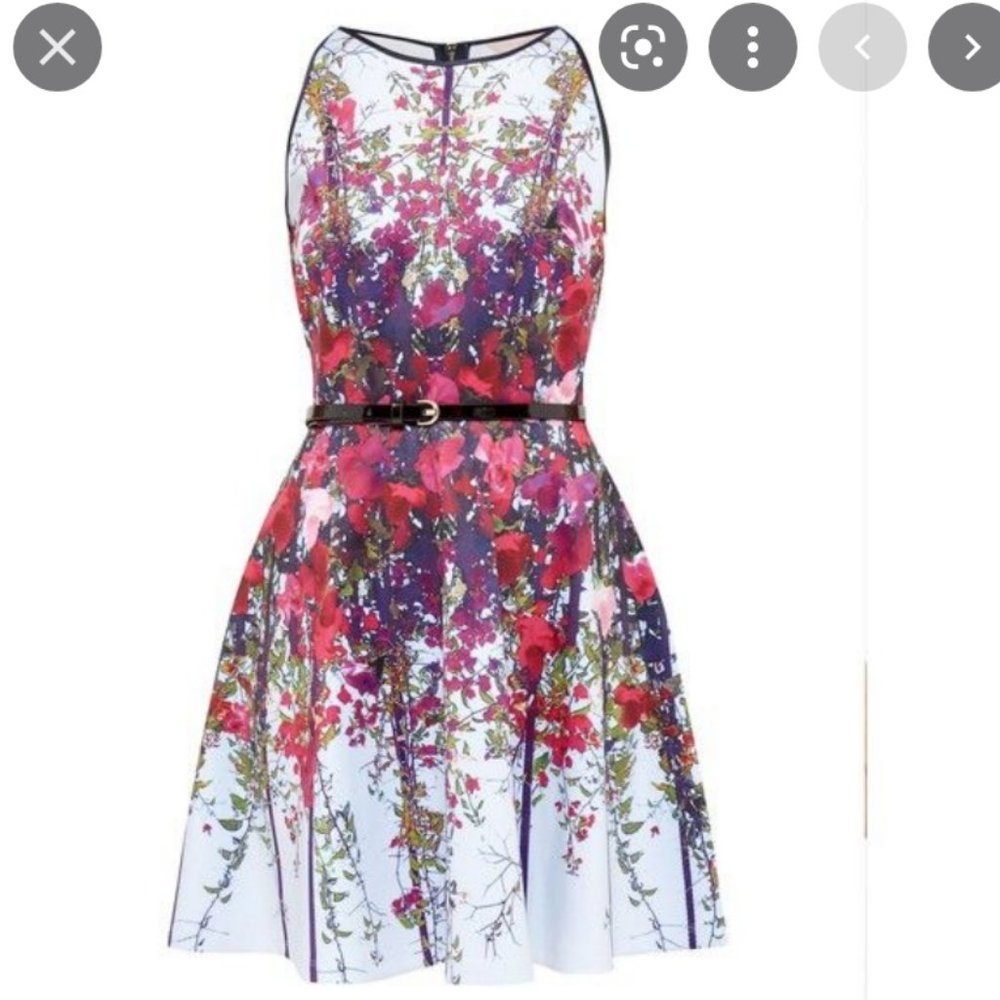 ted baker bloomze flowered lattice skater dress 0 - Picture 6 of 14